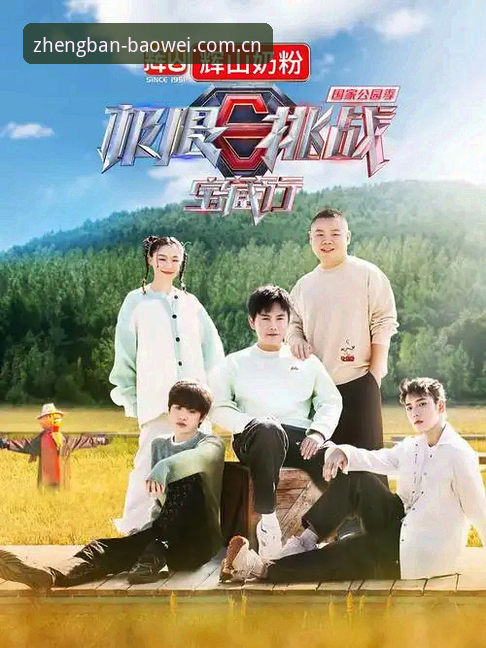 揭秘宝威体育找不到下载背后的真相：v2.1.0版本安装全流程拆解